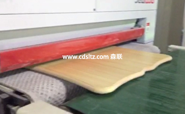 實木家具UV滾涂生產(chǎn)線砂光UV底漆清除粉塵.jpg 實木家具UV滾涂生產(chǎn)線砂光UV底漆清除粉塵.jpg